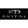 AVITAL