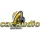 CARAUDIO SYSTEMS