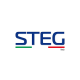 STEG