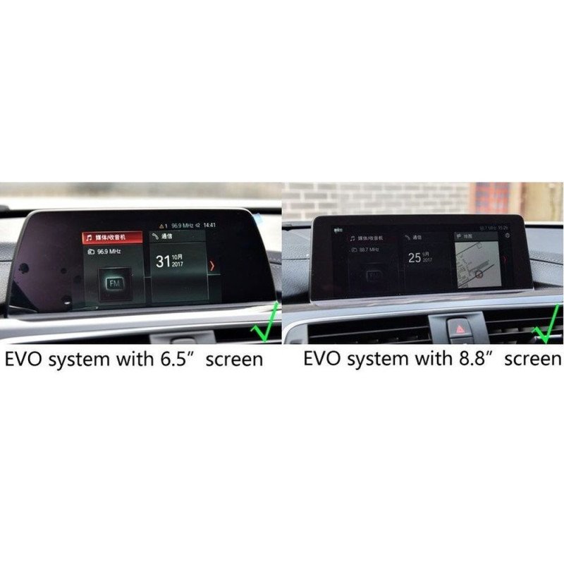 CARAUDIO SYSTEMS D-CS-TF-NBT TVfree για BMW Professional NBT / NBT2 F & G series