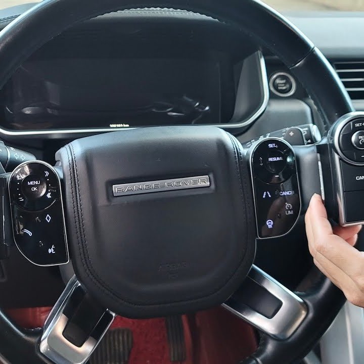 BIZZAR D-ZF2009 Land Rover Range Rover Upgrade Steering Wheel Touch Style