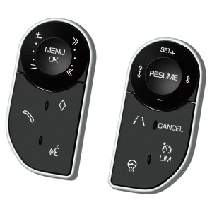BIZZAR D-ZF2009 Land Rover Range Rover Upgrade Steering Wheel Touch Style