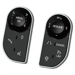 BIZZAR D-ZF2009 Land Rover Range Rover Upgrade Steering Wheel Touch Style