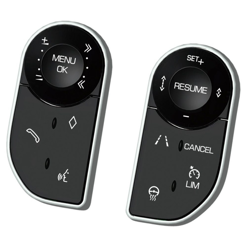 BIZZAR D-ZF2009 Land Rover Range Rover Upgrade Steering Wheel Touch Style