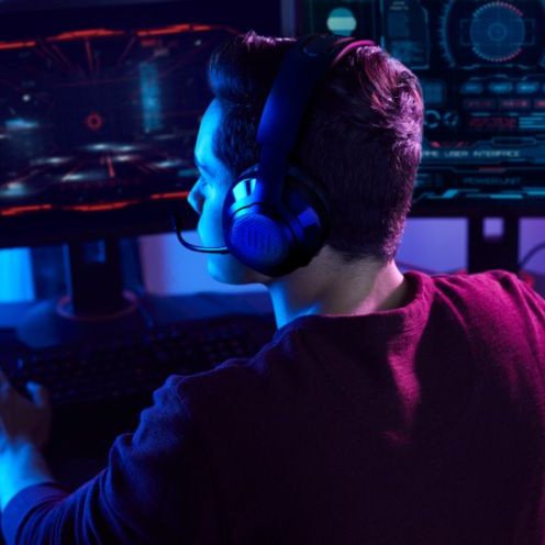 JBL QUANTUM 350