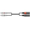 2R-2XM300 Kαλώδιο Ήχου 2 x RCA Plugs - 2 x XLR Male 3m (Τεμάχιο)